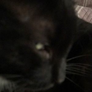 Meet your Posher, Carie